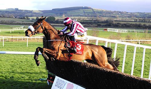 Mala Beach jumps the last under Robbie Colgan