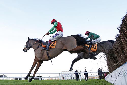 Somersby (number 6) finishing 2nd in last year's Tingle Creek