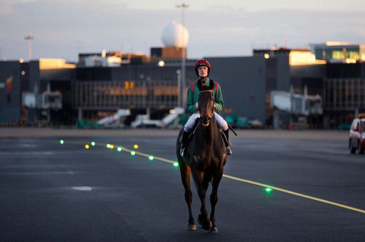 Ruby Walsh on Shannon runway