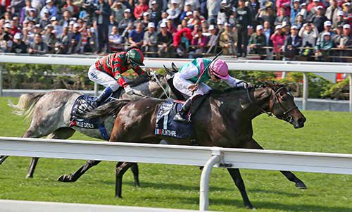 Flintshire seen here winning in Hong Kong