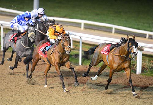 Manorov (Colin Keane) is led home by the riderless Bomber Jackson (clipped heels and unseated Ronan Whelan early)