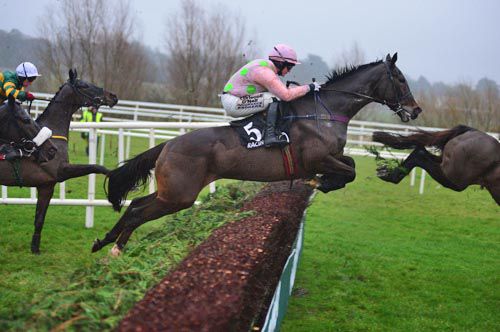 Vautour