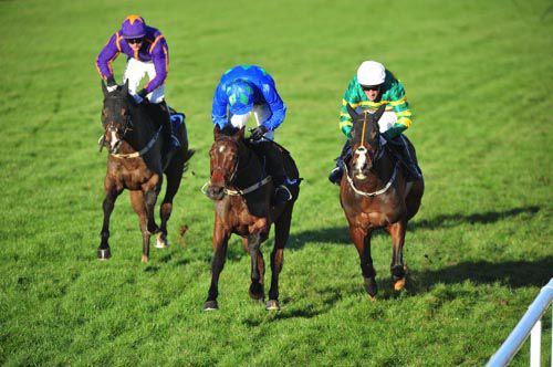 Hurricane Fly (centre)