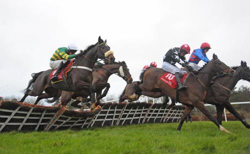 Sort It Out (nearside, noseband) coming through to win for Mark Walsh