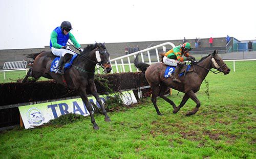 Tyrone House chases Distracted over the last