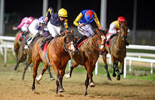 Bomber Jackson (Ronan Whelan, winner, nearside) battles it out with Pepparpot and Danny Mullins