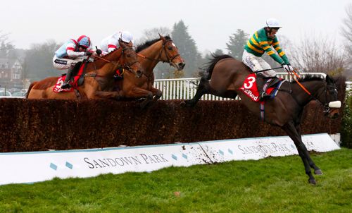 Mr Mole and Tony McCoy