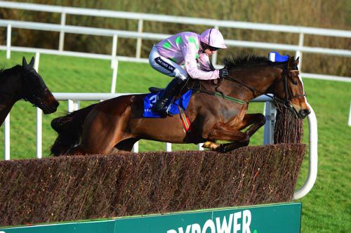 Vautour