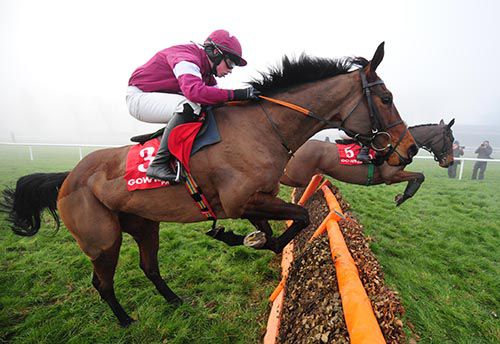 Dedigout and Bryan Cooper