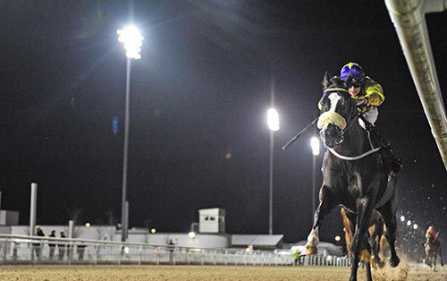Five Claw gallops on well under Conor Hoban