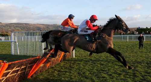 Saphir Du Rheu
