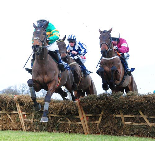 Gladiator King leads Prince Of Scar over last