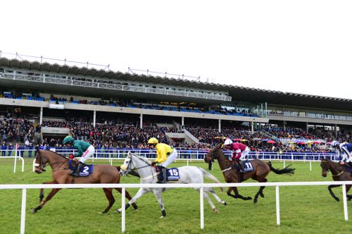 Racing past the stands at Leopardstown