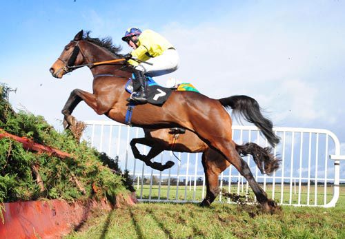 Like It A Lot (near side) and Toubaloo (partly hidden) jump the final fence