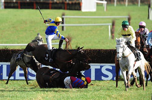 County Champions is brought down at the first as the grey Our Katie avoids the trouble