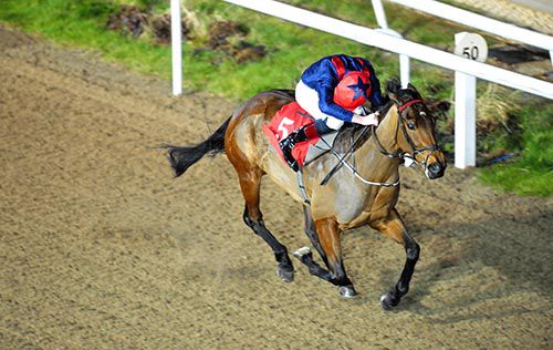 Letters Of Note and Emmet McNamara winning easily