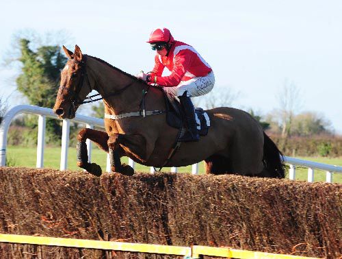 Call It Magic winning at Oldtown point to point