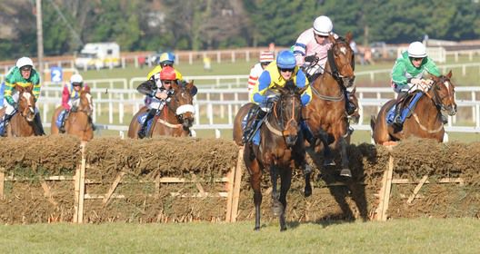 Runner-up Misty Lady leads Who's That (pink) over the last 