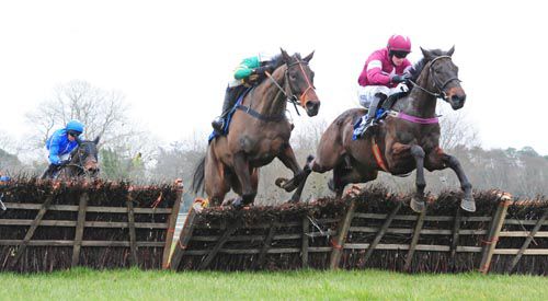 Argentino and Bryan Cooper lead I Knew Well as Tippmanboy chases