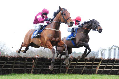 Roi Des Francs and Bryan Cooper get the better of Fine Article and Mikey Fogarty