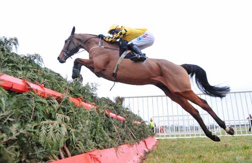 Sumos Novios and Andrew McNamara jump the final fence