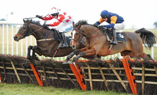 Goulane Chosen (left) and Bitsandpieces jump the last together