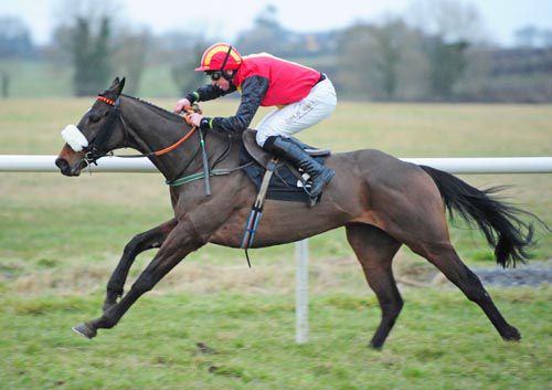 Laid Back Luke and Jamie Codd