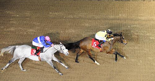 Acroleina and Chris Hayes