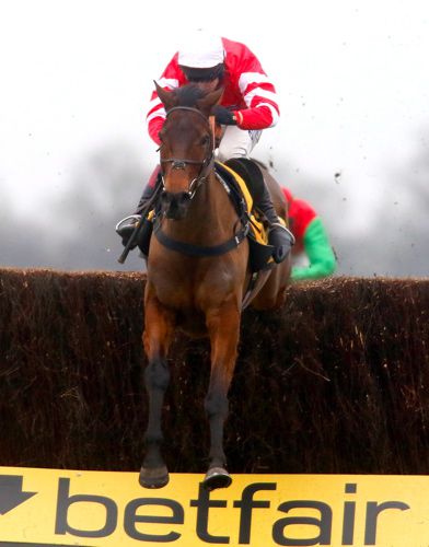 Coneygree