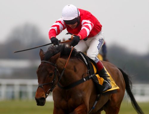 The Mark Bradstock-trained Coneygree