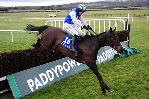 Miss Xian and Mark Enright