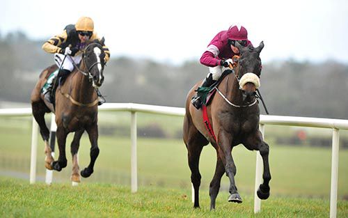 Tycoon Prince and Nina Carberry beat Up For Review