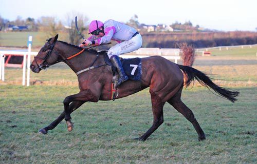 Elusive Ivy and Jamie Codd