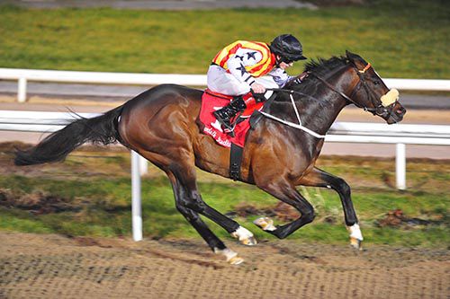 Hat Alnasar and Conor Hoban