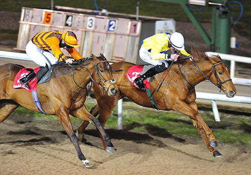 Settle For Red and Connor King hold off Manorov and Colin Keane