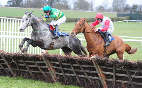 The Grey Guy leads Fiddlers Way over the last