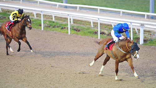 Shinyhappyjohn and Donnacha O'Brien are clear from Acroleina and Robbie Downey