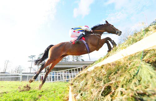 Toon River and Davy Russell clear the last