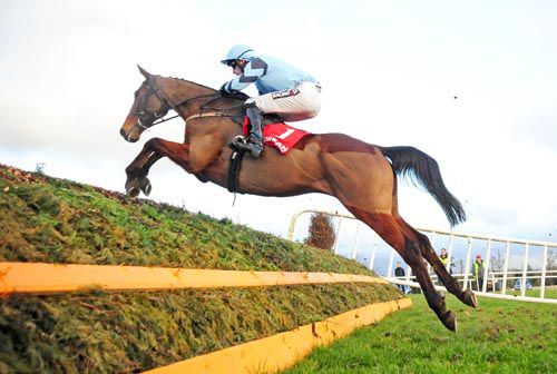 Prince De Beauchene and Patrick Mullins clear the last