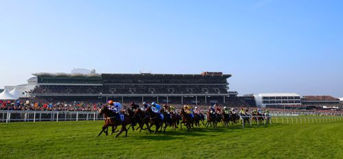Ground now good to soft at Cheltenham
