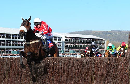 The Druids Nephew and Barry Geraghty lead them home