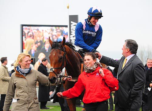 Qualando (Nick Scholfield) after winning the Fred Winter at Cheltenham