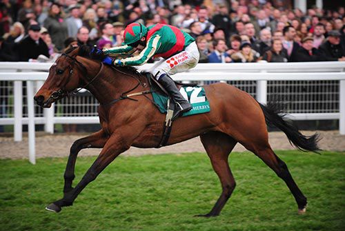 Moon Racer and Tom Scudamore win the bumper