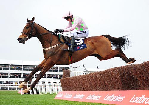 Vautour