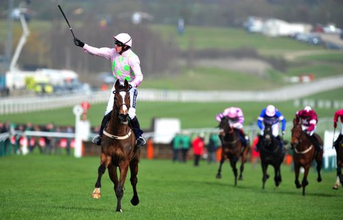 Vautour