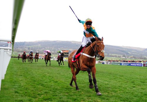 Cole Harden wins last year's renewal