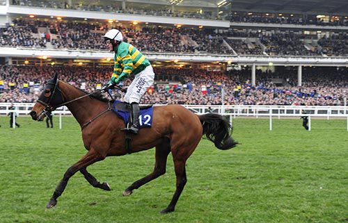 Tony McCoy finishes 4th on his final ride at the Festival aboard Ned Buntline