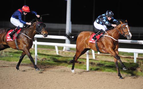 Wychwood Warrior and Shane Foley see off I Will Excel and Emmet McNamara 