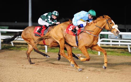 Pivot Bridge (Declan McDonogh) beats Moonmeister (Pat Smullen)