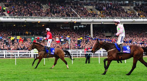 Coneygree after beating Djakadam in Gold Cup